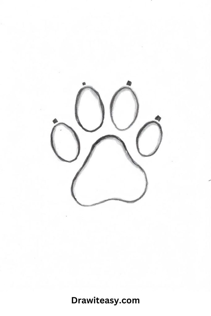 Small Paw Print