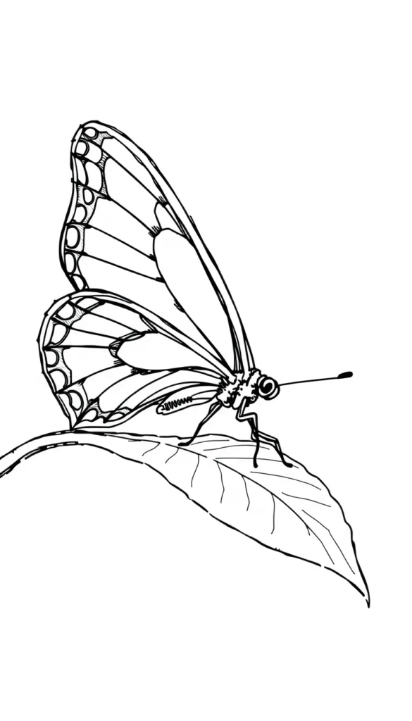 Butterfly on Leaf