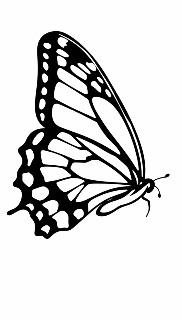 Butterfly with Closed Wings