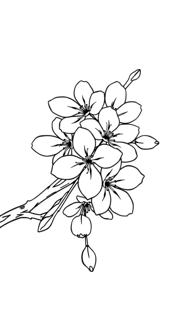 Cherry Blossom Branch