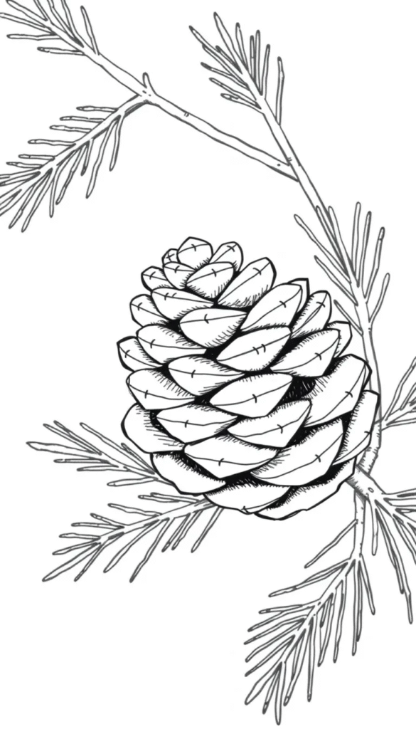 Pine Cone with Needles