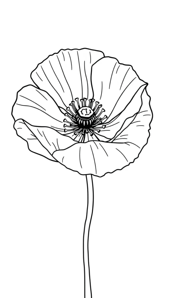 Poppy Petals