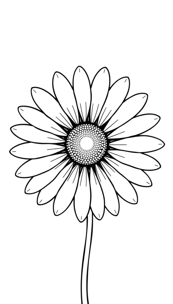 Single Daisy
