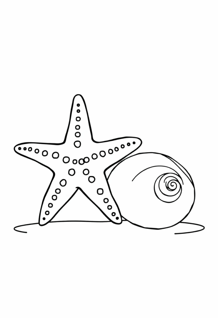 Starfish and Seashell