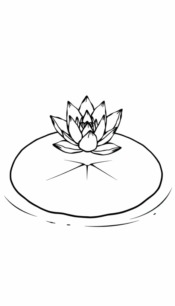 Water Lily Pad