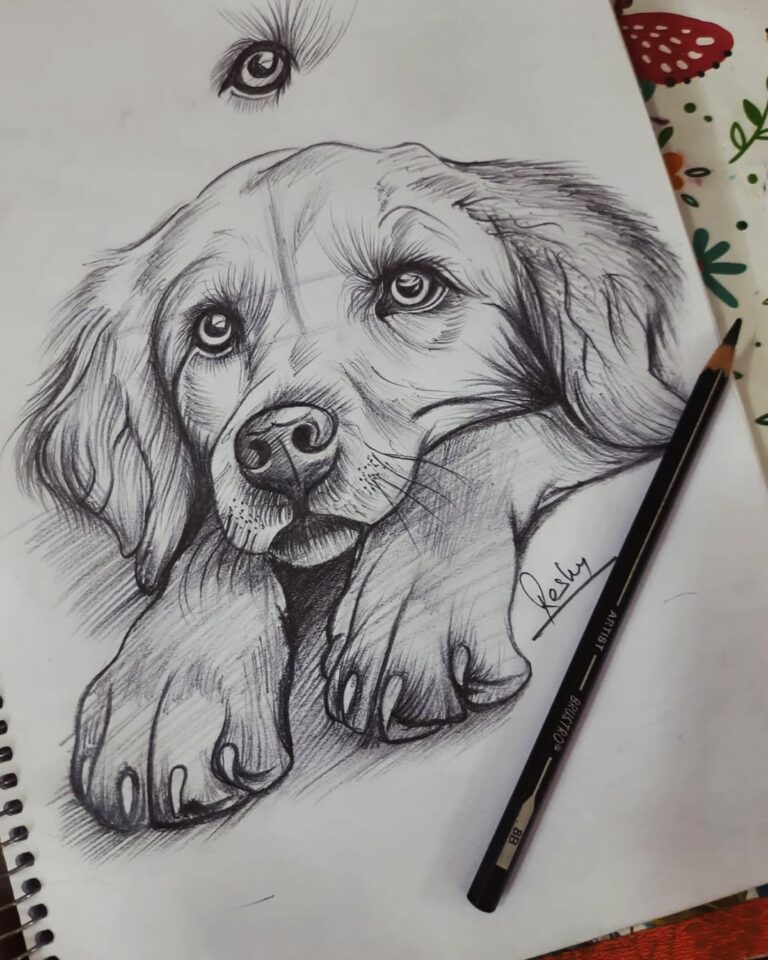 Beautiful Pencil Art Drawings Anyone Can Try (Easy and Creative Ideas ...