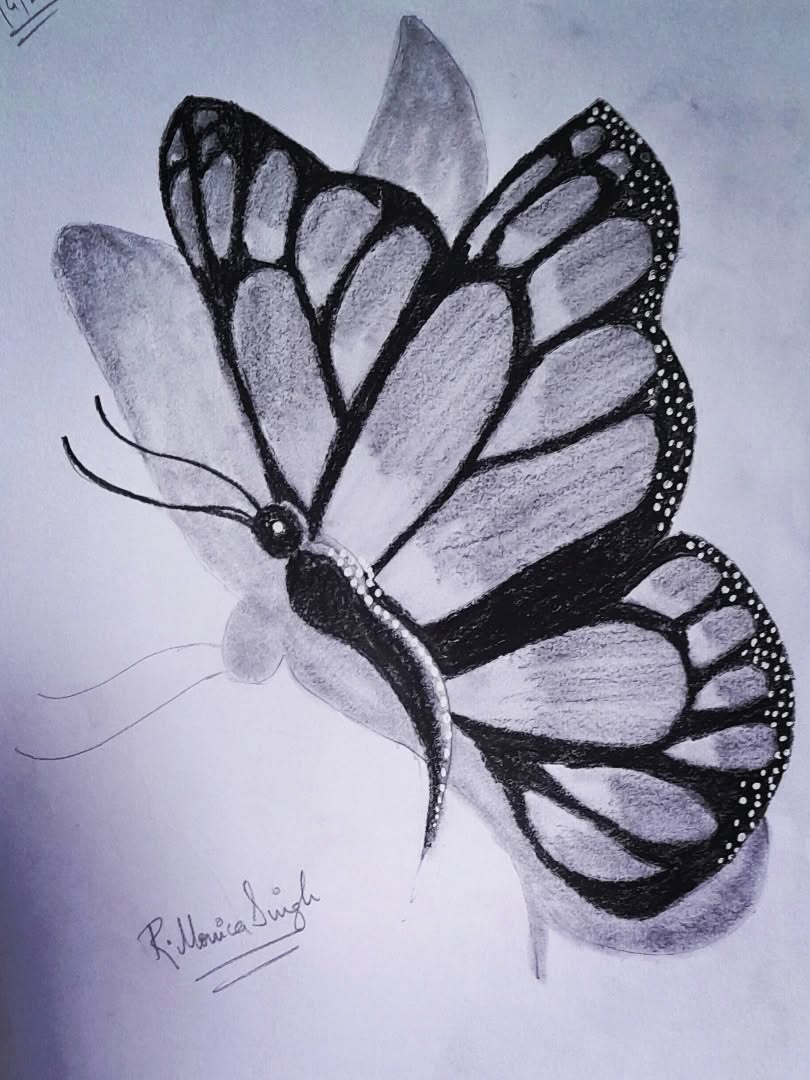 Beautiful Pencil Art Drawings Anyone Can Try (Easy and Creative Ideas ...