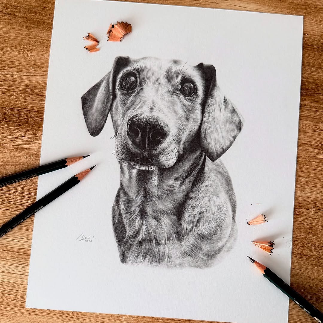 Beautiful Pencil Art Drawings Anyone Can Try (Easy and Creative Ideas ...