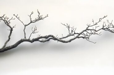 15 Tree Drawing Ideas to Spark Your Creativity (Perfect for Beginners!)