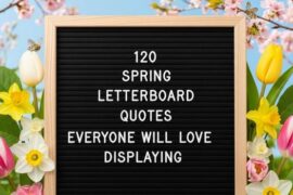 120 Spring Letterboard Quotes Everyone Will Love Displaying