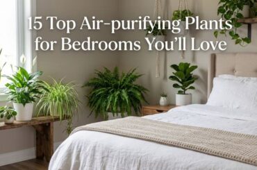 15 Top Air-purifying Plants for Bedrooms You’ll Love