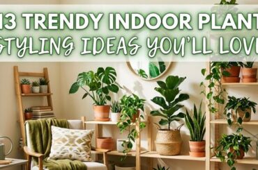 13 Trendy Indoor Plant Styling Ideas You’ll Love