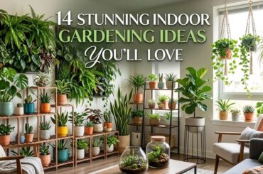 14 Stunning Indoor Gardening Ideas You’ll Love