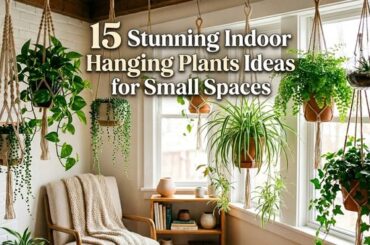 15 Stunning Indoor Hanging Plants Ideas for Small Spaces
