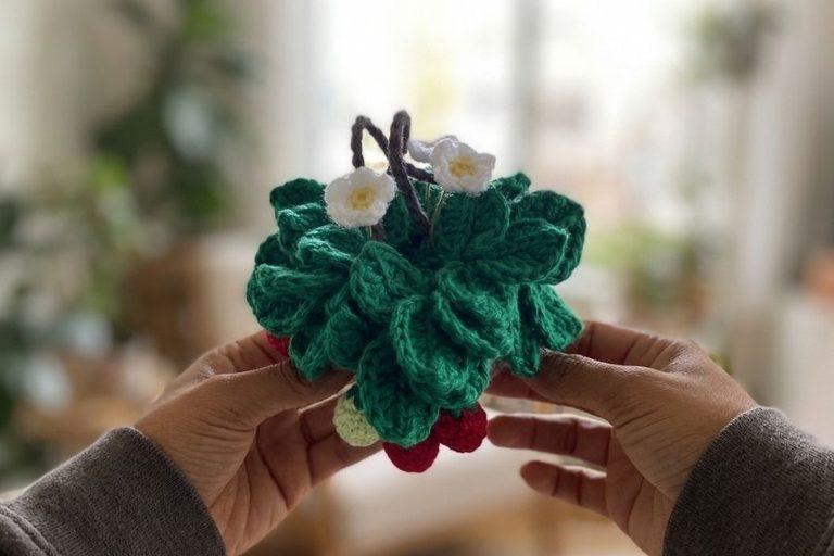 Create a Lovely Crochet Strawberry Leaf for Decor