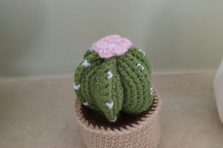 Crochet Cactus Pattern for a Cute Home Decor Project