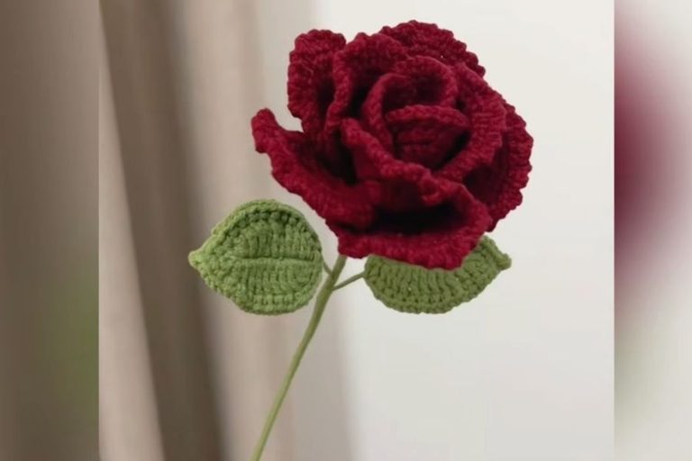 Crochet Red Rose Free Pattern for a Lovely Gift